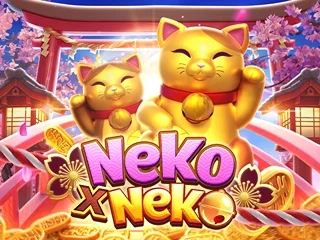 NEKO X NEKO