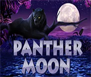 Panther Moon PT